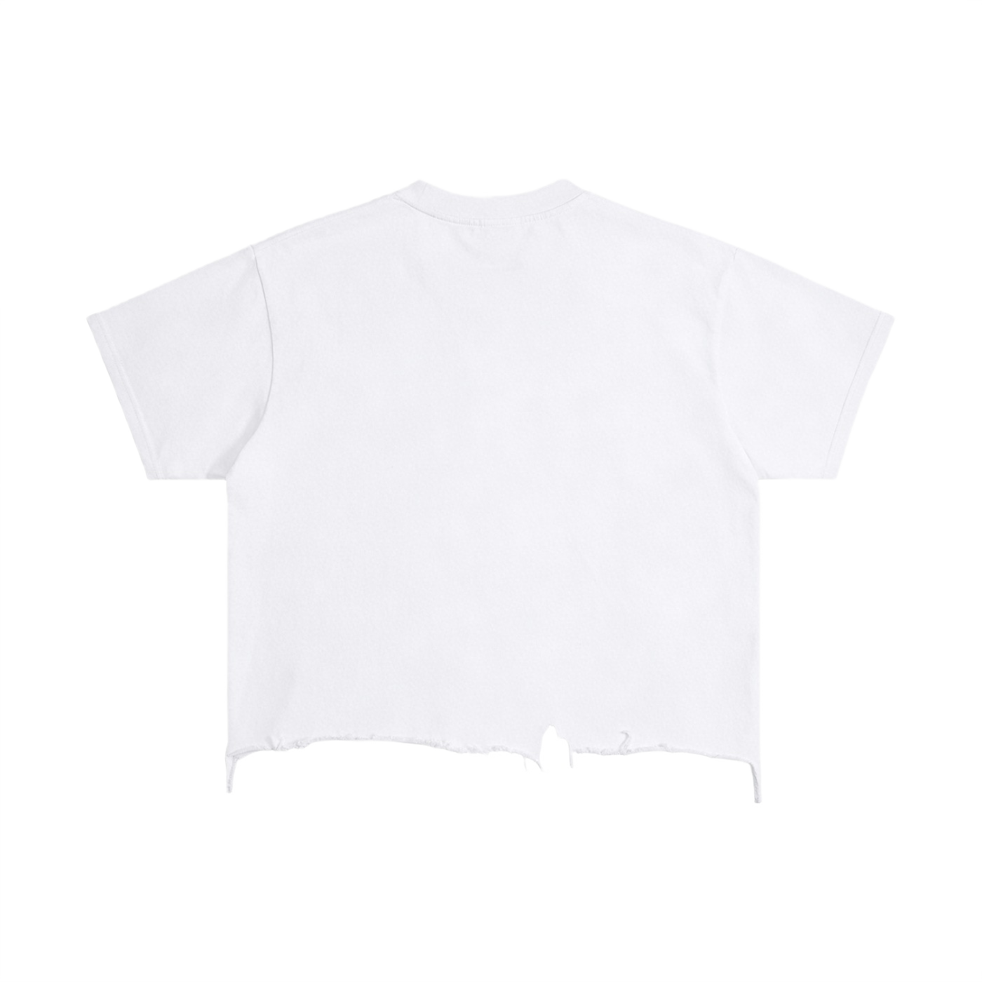 FWFL - CROP USA T-SHIRT