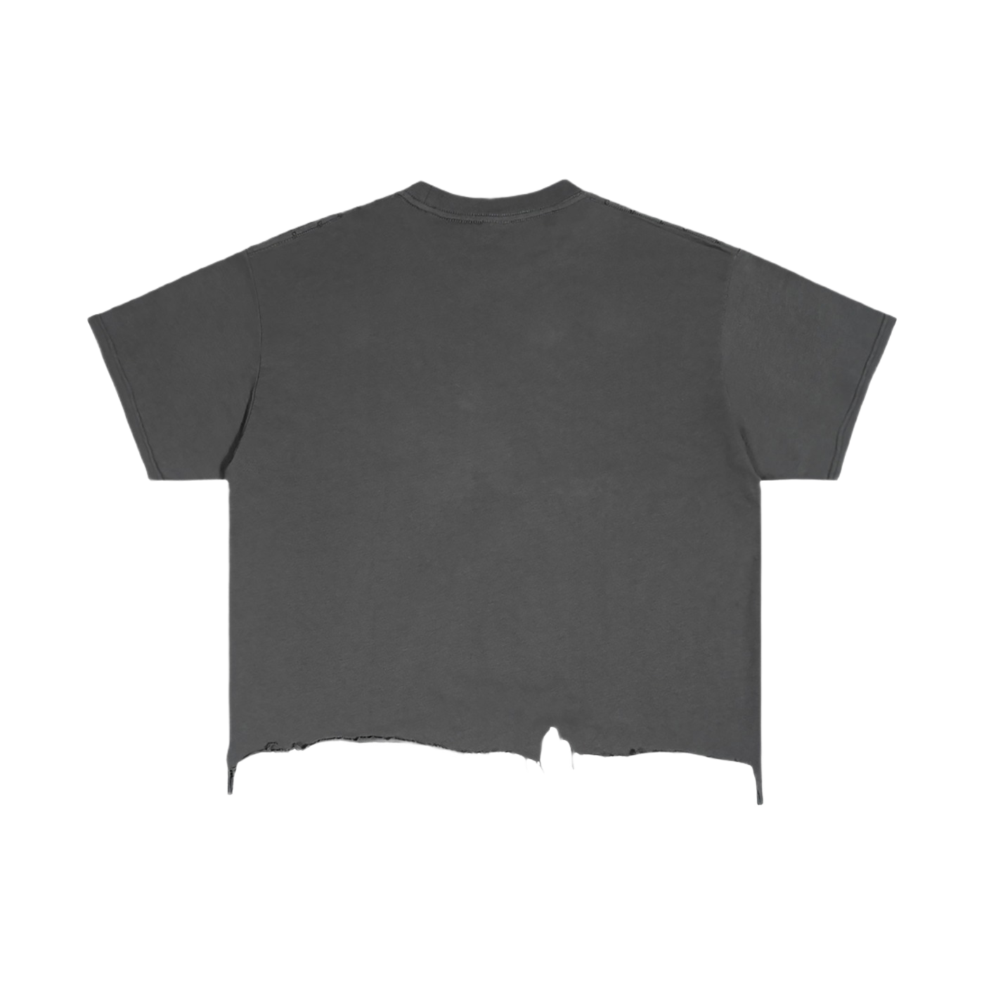 FWFL - CROP USA T-SHIRT